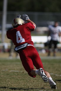 八戒官网-五大联赛球队助攻构成比例是否趋向边路主导,五大联赛历史进球助攻榜 第2张